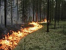 В Туве начался пожароопасный период